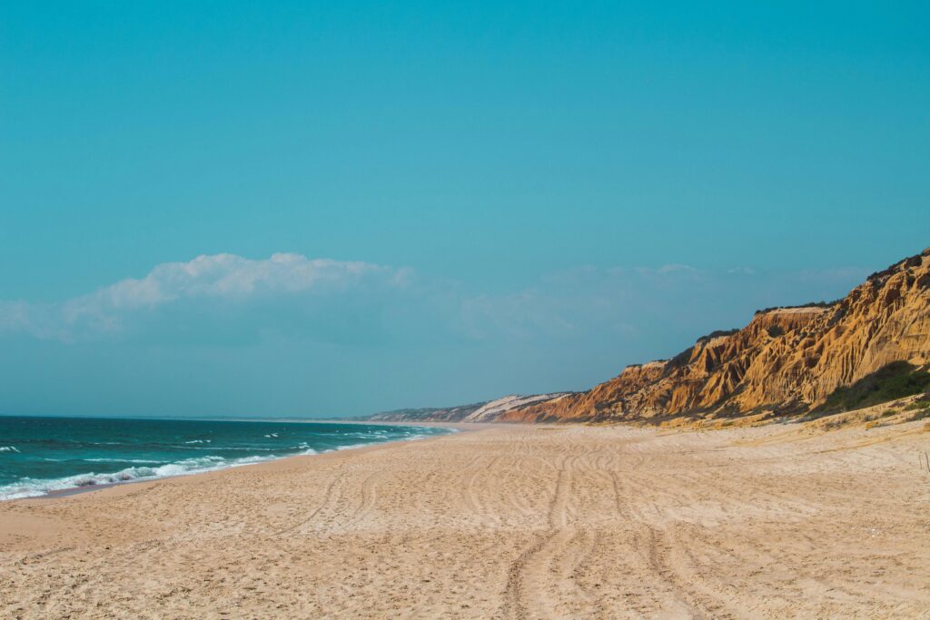 Scenic view of a secluded sandy beach along the Alentejo coast in Portugal, featuring dramatic golden cliffs meeting the Atlantic Ocean under a clear blue sky.
